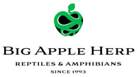 Big Apple Herp - Reptiles For Sale